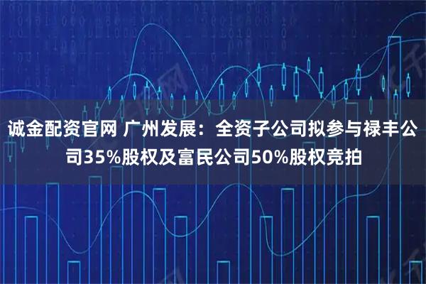 诚金配资官网 广州发展：全资子公司拟参与禄丰公司35%股权及富民公司50%股权竞拍