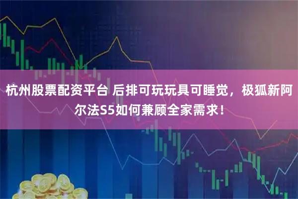 杭州股票配资平台 后排可玩玩具可睡觉，极狐新阿尔法S5如何兼顾全家需求！
